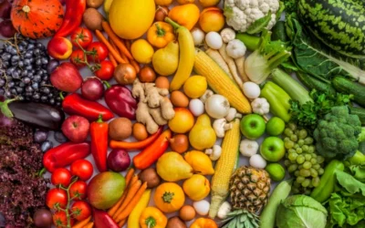 Preocupa el elevado déficit en la ingesta de nutrientes esenciales en la alimentación de niños de entre 4 y 12 años 