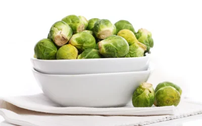 Pasta larga de bruselas