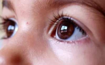 Aseguran que la mitad de los niños tiene déficits nutricionales: alertan sobre las dietas restrictivas