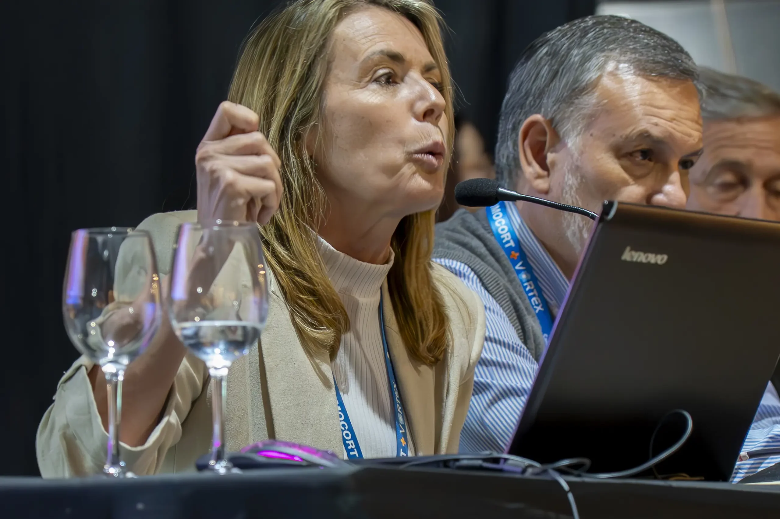 Simposion Profeni MDQ 29